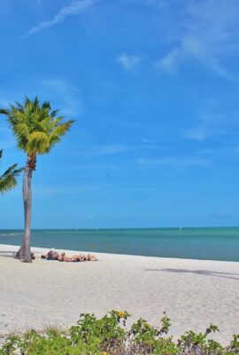 Florida Local business