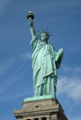 New York Local Businesses